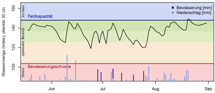 Abbildung 1: Gemessener Wassergehalt im Wurzelraum der Kartoffeln in Ins, 2019. Bewssert werden soll ab der Bewsserungsschwele (rote Linie).