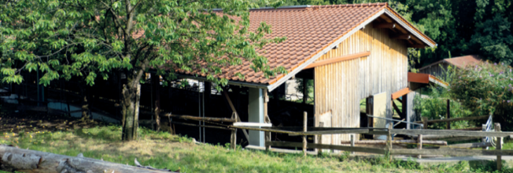 Zurück zu Projekte Projekte