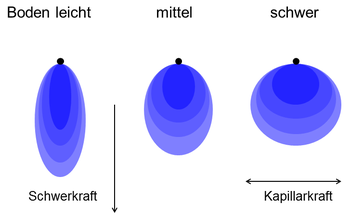 Die horizontale Ausbreitung der Durchfeuchtungszonen unter den Tropfstellen steigt mit zunehmender Schwere der Bden.