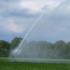 Beregnungsmaschine mit Starkregner - Einsatz bei Bewölkung begrenzt Verdunstungsverluste / © M. Müller, ALB Bayern e.V. Beregnungsmaschine mit Starkregner - Einsatz bei Bewölkung begrenzt Verdunstungsverluste
