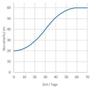 Berechnete effektive Wurzeltiefe in Abhngigkeit der Wachstumszeit (Jugendentwicklung ab Saat, Pflanzen) in Tagen gem Bewsserungs-App; Beispiel Kartoffeln