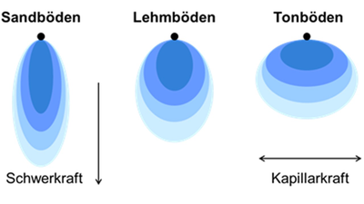 Horizontale Ausbreitung der Durchfeuchtungszonen unter Tropfstellen, ansteigend mit zunehmendem Tongehalt bzw. Feinporenanteil des Bodens