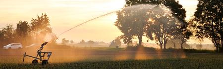 In der Nacht und den Morgenstunden sind Verdunstungsverluste beim Einsatz von Beregnungsmaschinen mit Starkregner oder Mittelstarkregner gering - vorausgesetzt es herrscht Windstille.