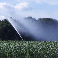 An heien Sommmertagen und Wind sind beim Einsatz vo Starkregnern besonders hohe Wasserverluste in Kauf zu nehmen. 