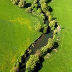 Abflussschwache Gewsser oder Feuchtbiotope werden bereits bei geringer Absenkung des Grundwassers negativ beeinflusst