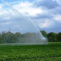 Mit der Bewässerungs-App lassen sich Beregnungsmaßnahmen planen