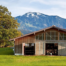 Stallbauten - Teil unserer Kulturlandschaft