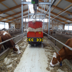 Automatische Fütterung - Futtervorlage mit schienengeführter Verteileinheit (Wechsel des Energieträgers von Diesel auf Elektroenergie)