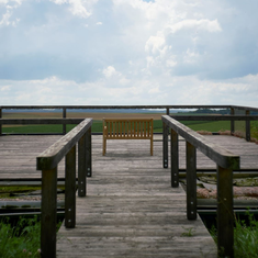 Die Dachterrasse auf dem Zuchtsaue-Abferkelstall macht es mglich sowohl die begrnte Dachlandschaft zu genieen und zugleich den Landschaftsbezug herzustellen