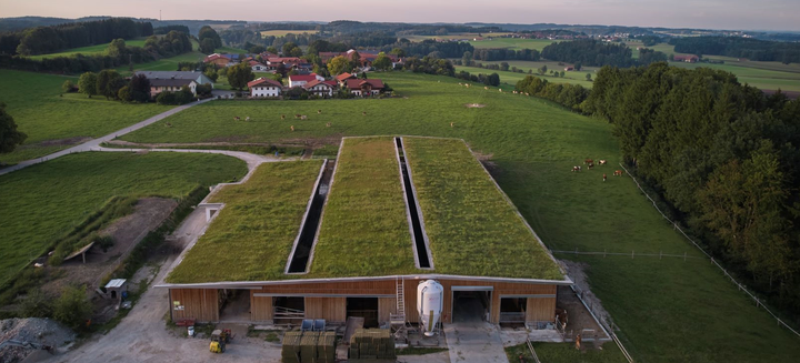 Der Stall von Sepp Stadler sieht so aus, als wre mit dem Holzbau Grnland fnf Meter in die Hhe gestemmt worden.