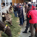 Landwirtschaft im Raum Rosenheim