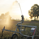 Situationsberichte aus der Landwirtschaft