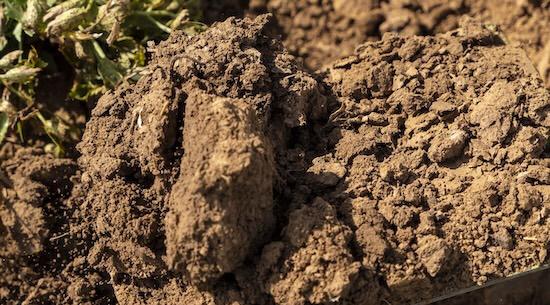 / © Lukas Müller - ALB