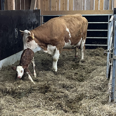 / © M. Müller, ALB Bayern