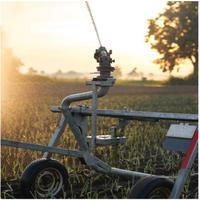 Bew�sserungstechnik / Steuerung / einj�hrige Kulturen / Symbolbild